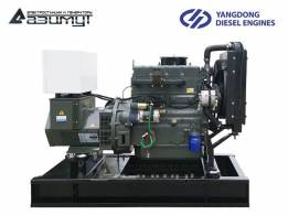 Дизель генератор 30 кВт Yangdong АД-30С-Т400-1РМ5