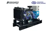 Однофазный дизель генератор 10 кВт Yangdong АД-10С-230-1РМ55