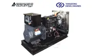 Однофазный дизель генератор 12 кВт Yangdong АД-12С-230-1РМ55