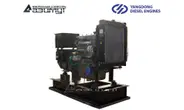Дизельная электростанция 16 кВт Yangdong АД-16С-Т400-2РМ55 с автозапуском (АВР)