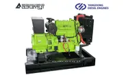 Дизель генератор 24 кВт Yangdong АД-24С-Т400-1РМ5